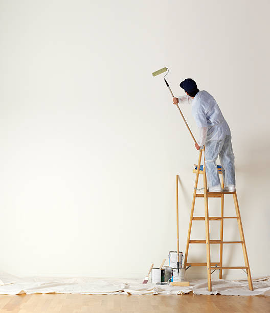 Professional Painting Services in Auckland